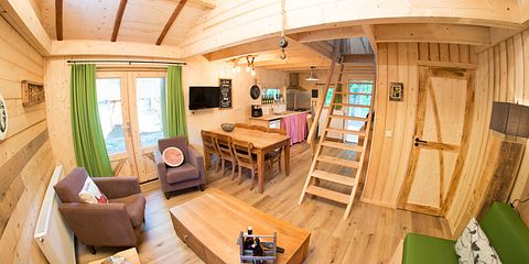 Maison dans la forêt en bois dans le Brabant-Septentrional - 2