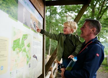 Villa (6p) met buitenhaard op de Veluwe - 47