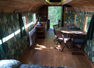 Large green wagon at the edge of the forest - 6
