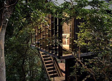 Unique cabane dans les arbes avec sauna privé dans les Ardennes - 2