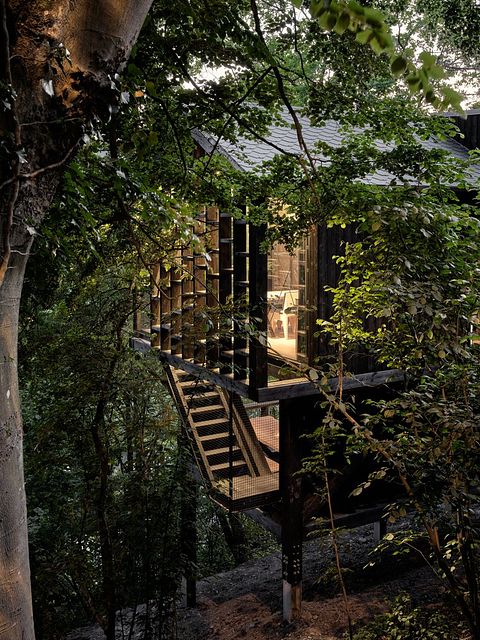 Unique cabane dans les arbes avec sauna privé dans les Ardennes - 2