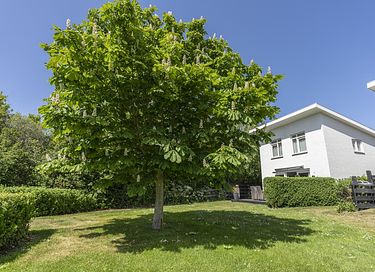 Logement de vacances indépendant à Texel - 22