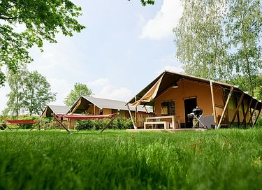 Tente safari (6p) près d'un lac dans le Limbourg - 11
