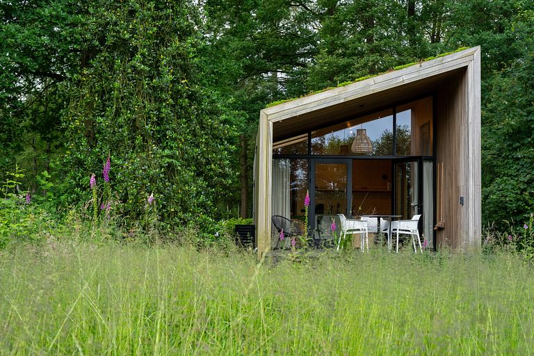 Tiny house in Overijssel (hond toegestaan) - 1