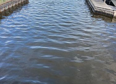 Logement de vacances (2p) sur les lacs de Loosdrecht - 18