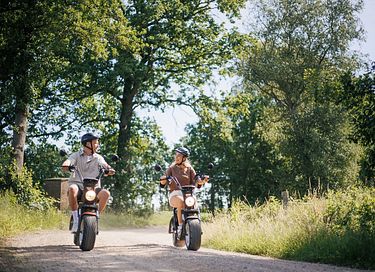 Luxury Veluwe lodge with hot tub or sauna - 34