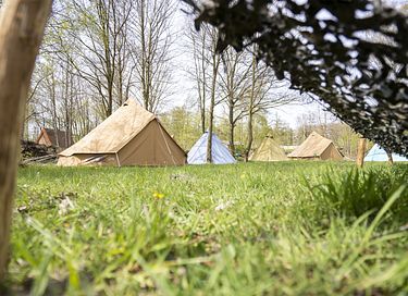 Glamping op een voormalige militaire basis - 14