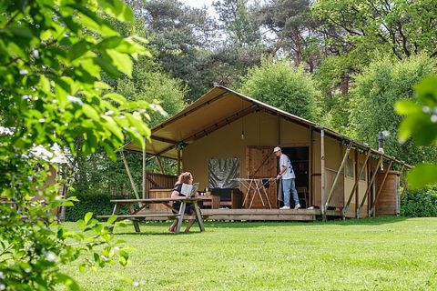 Large safari tent (6p) on versatile campsite - 3