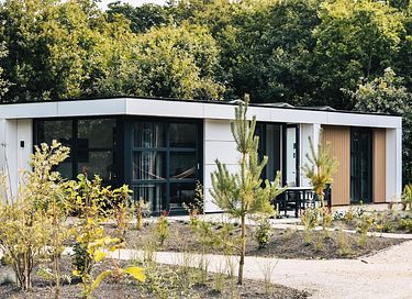 Luxury stay in the dunes of North Holland - 2