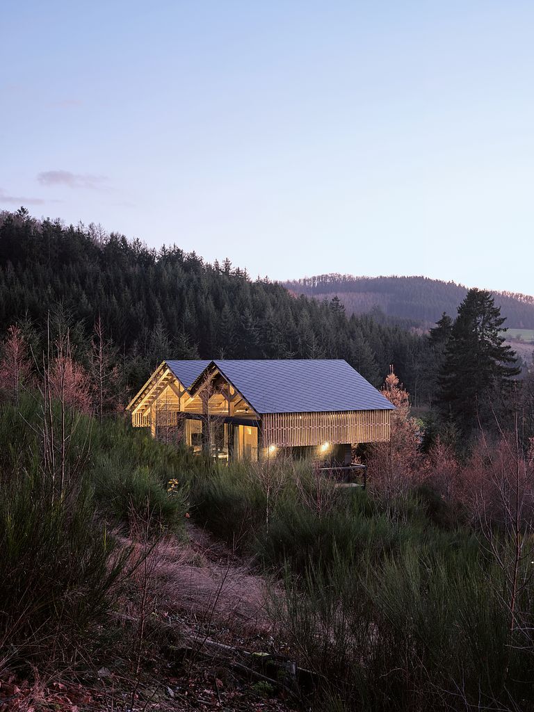 Luxe boomhut met privé hottub in de Ardennen - 1