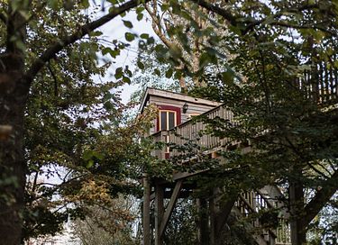L'arbre a cabane avec un balcon dans un environnement naturel - 21