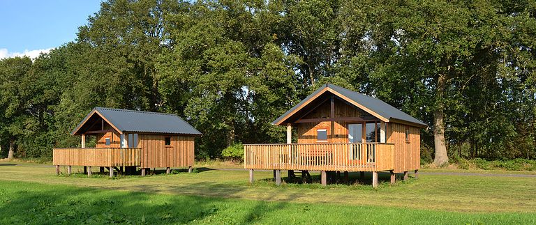 Natuurlodge voor 4 personen in Drenthe - 1