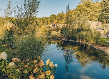 Lodge de luxe dans la région de la Veluwe avec espace bien-être - 23