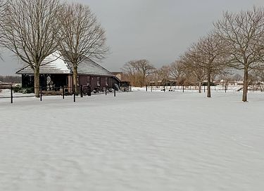 Sfeervolle B&B met uitzicht op paardenweide - 26