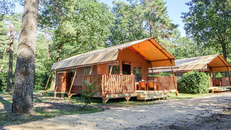 Luxuriöses Safarizelt auf der Veluwe (2p) - 1