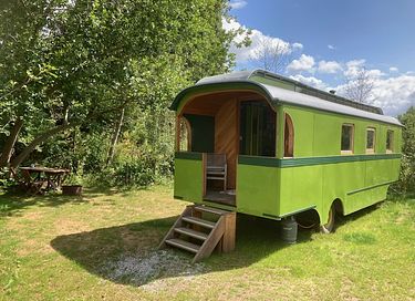 Large green wagon at the edge of the forest