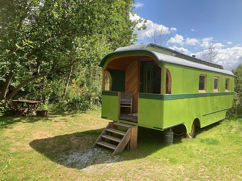 Large green wagon at the edge of the forest - 2