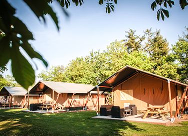 Safari tent for 5 persons in Brabant - 3