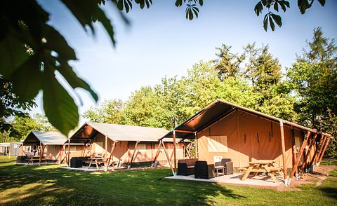 Safari tent for 5 persons in Brabant - 3