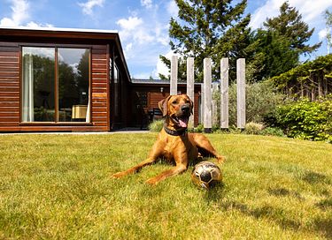 Lodge spacieux dans un parc de vacances - 15