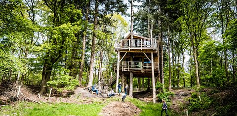 Special overnight stay in an XXL treehouse - 2
