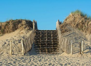 Luxury stay in the dunes of North Holland - 30