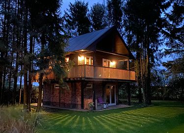 Prachtig boshuisje in Drenthe - 2