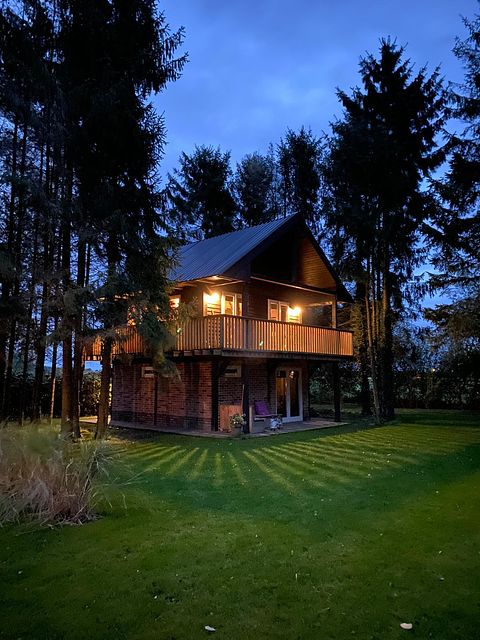 Prachtig boshuisje in Drenthe - 2