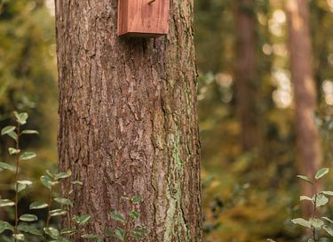 Une petite maison unique dans la nature avec du bien-être - 17
