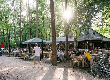 Leuke glamping tent (5 pers) in Brabant - 18
