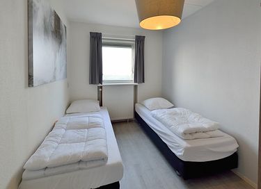 Vakantie met je viervoeter in Noord-Nederland - 8