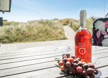 Rietgedekt vakantiehuis in Denemarken - 4