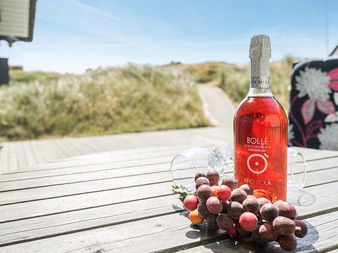 Rietgedekt vakantiehuis in Denemarken - 4