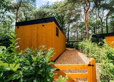 Lodge dans les bois avec bain à remous privé à Drenthe - 30