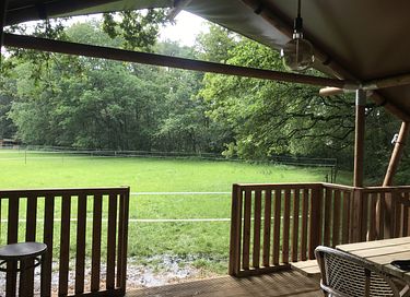 Ruime lodge op mooi domein met paarden - 2