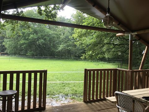 Ruime lodge op mooi domein met paarden - 2