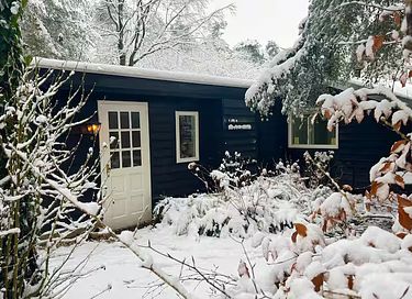 Natuurhuis met sauna en tuin  - 30