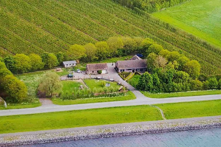 Spacious apartment in the polder of Zeeland - 1