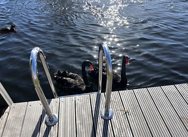 Vakantiehuis aan de Vinkeveense Plassen - 24