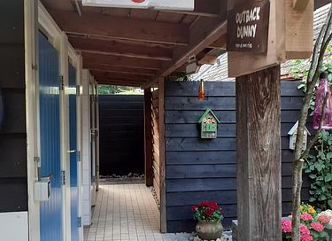 Hobbit house on campsite in Drenthe - 8