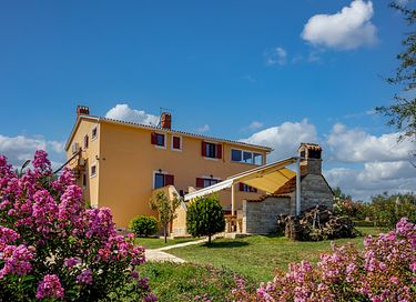 Large villa with private pool and spacious garden - 6