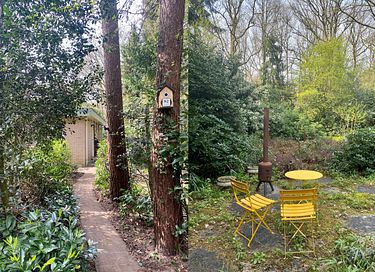 Waldhaus in Drenthe mit Kamin und großem Garten - 3