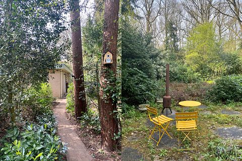 Waldhaus in Drenthe mit Kamin und großem Garten - 3