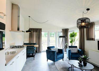 T tiny house (4p) on the Veluwe - 3
