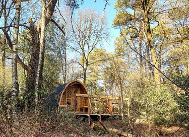Leuke pod midden in de Drentse natuur