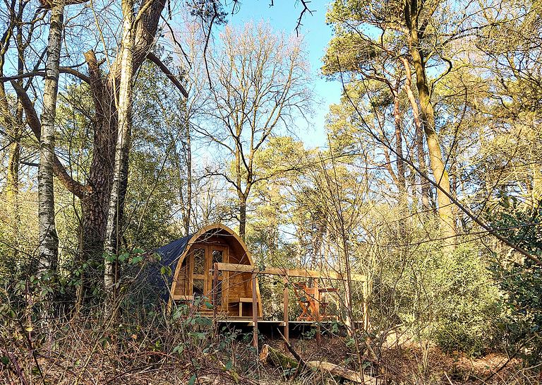Joli pod en pleine nature en Drenthe - 1
