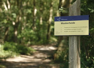 Heerlijke buitenkamer dichtbij het bos - 23