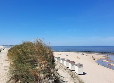 Beachlodge (6p) op loopafstand van zee - 23