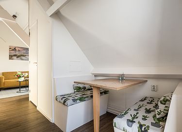 Dune plate (chien admis) - 9