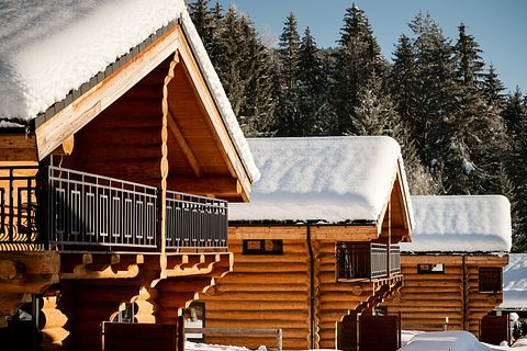 Luxe chalet met bergzicht in Oostenrijk - 2